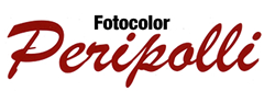 vendita online carillon natale